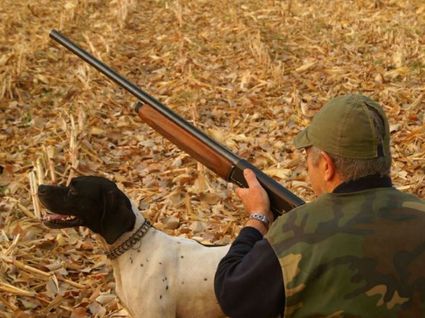 Scopri di più sull'articolo Cs.Successo del ricorso AVC contro il calendario venatorio Sicilia