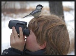 Scopri di più sull'articolo AVC-DOSSIER 2023 2024/MINORI E CACCIA