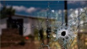 Scopri di più sull'articolo COMUNICATO STAMPA-AVC-Vittime umane dell’attività venatoria: 1° Bollettino della guerra