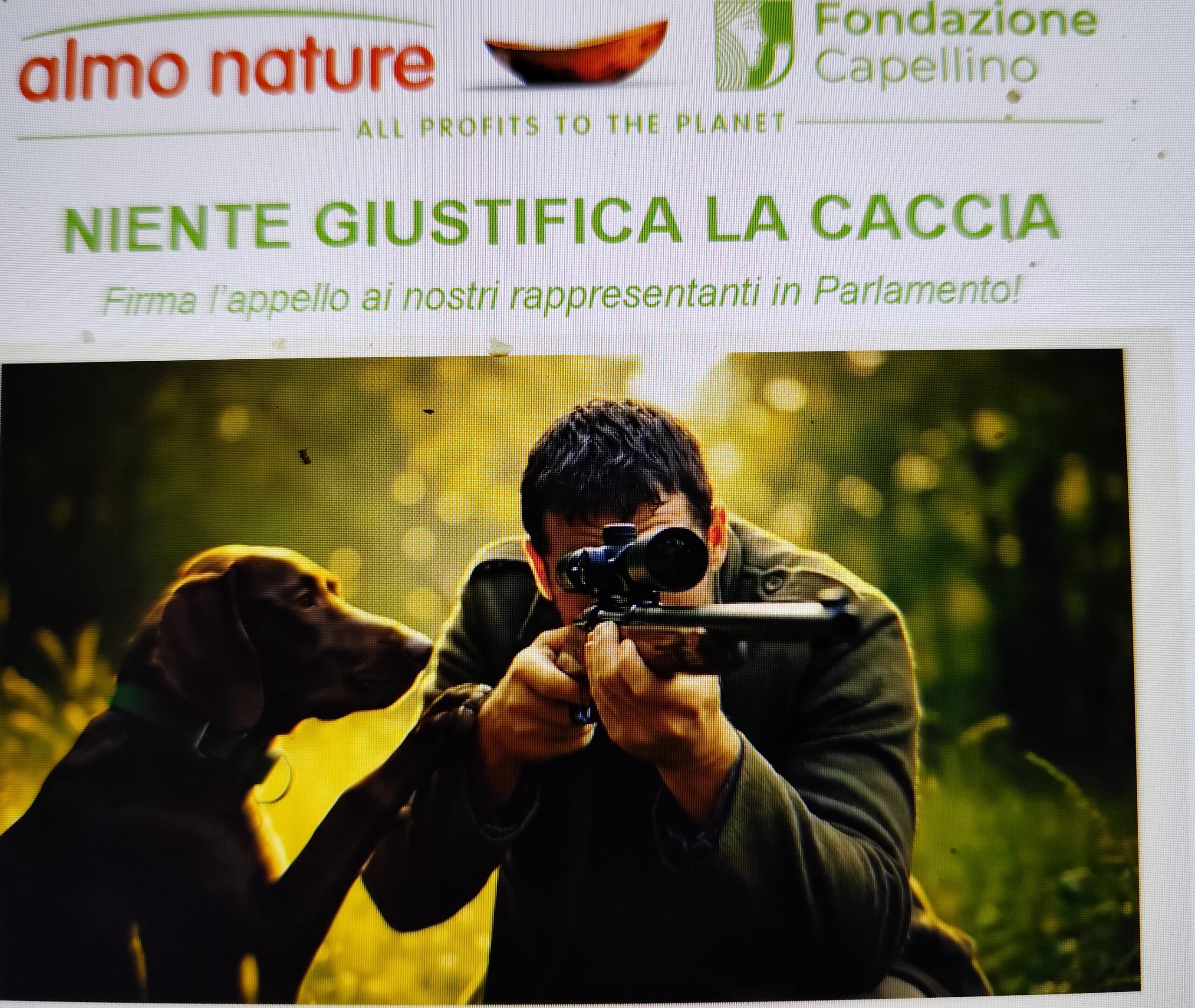 Scopri di più sull'articolo CAMPAGNE, EVENTI, INIZIATIVE*